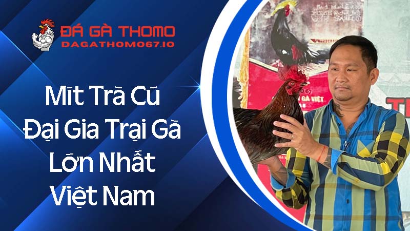 Mít Trà Cú - Đại gia trại gà lớn nhất Việt Nam